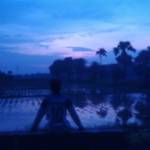 Iftekhar A. Profile Picture